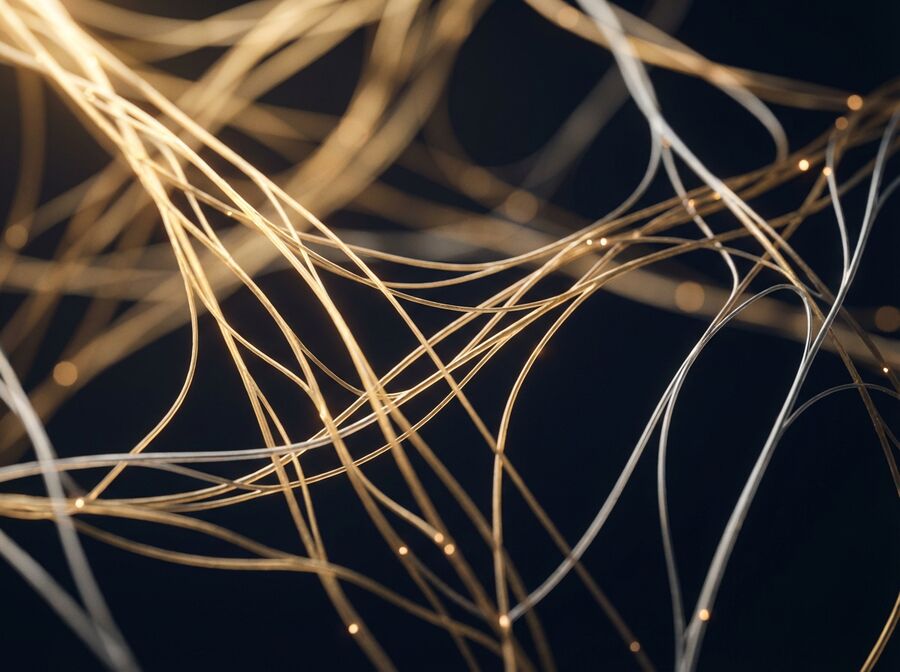 Collagen fiber structures under magnification — tissue repair and recovery research